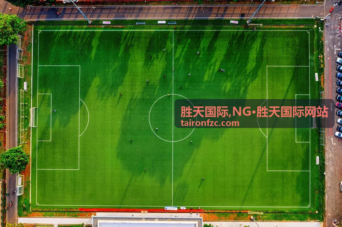 胜天国际合作内容与企业沟通主题